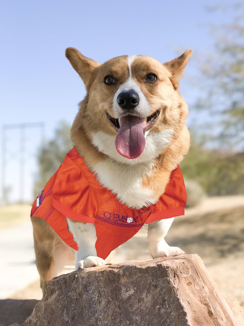 Pets First NCAA College Clemson Tigers Mesh Jersey for DOGS & CATS, X-Large. Licensed Dog Jersey with your Favorite Football/Basketball College Team - Image 2